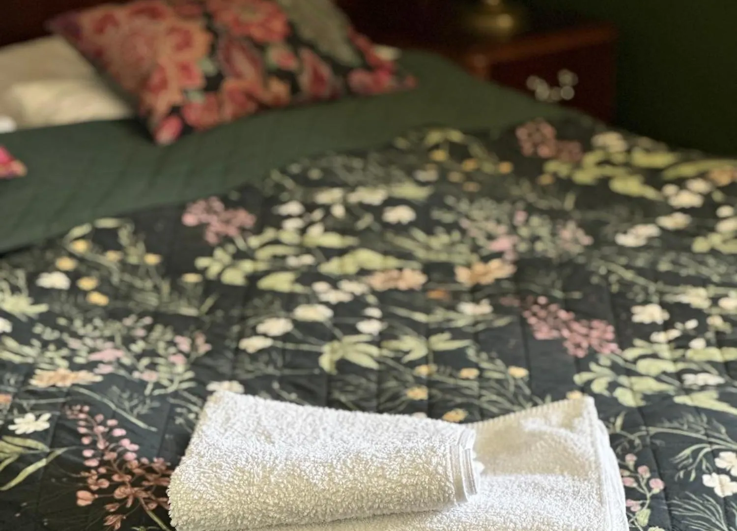 ***  Tuberoza Bed & Breakfast Zakopane Polonya